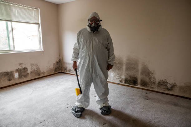 Best Crawl Space Mold Remediation  in Circle D Kc Estates, TX